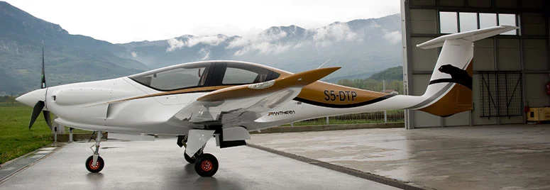 Pipistrel Panthera Foto: Pipistrel