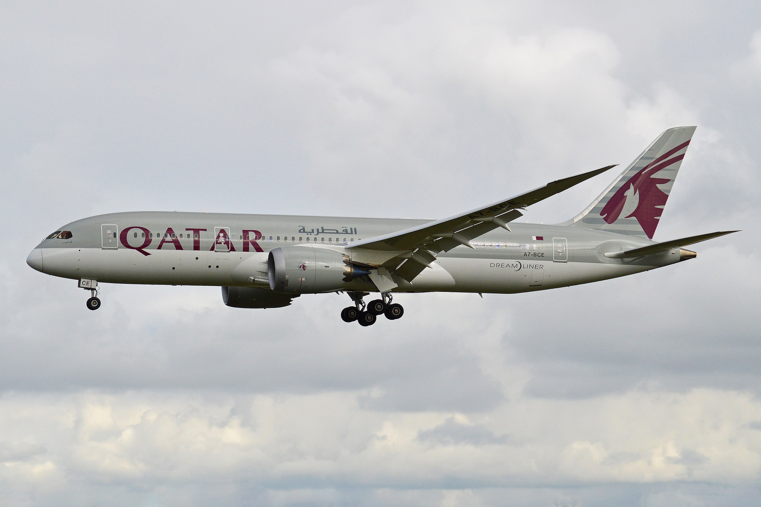 Qatar Boeing 787-8