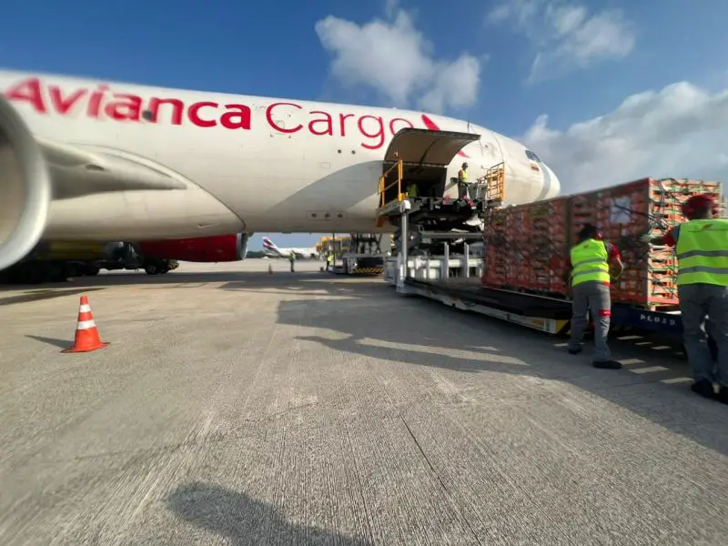 Avianca Cargo inicia vuelos a Vitória, Brasil, con Airbus A330-200 (F)