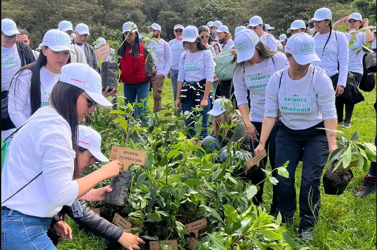 avianca respira amazonia voluntariado ESG