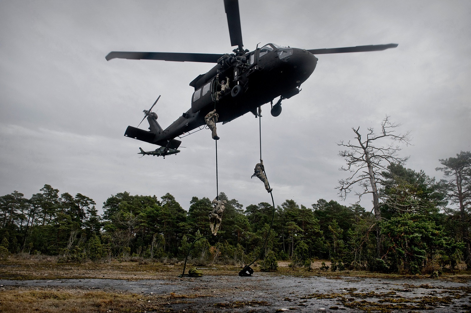 UH-60 Sweden