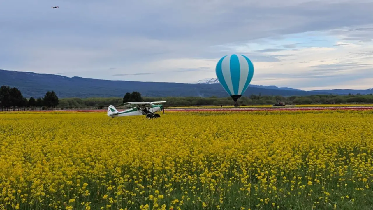 PBP Patagonia Bush Pilot. Aerodromo Trevelin 